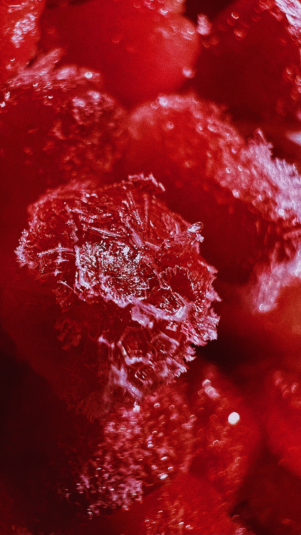 碎片3(手机摄影)