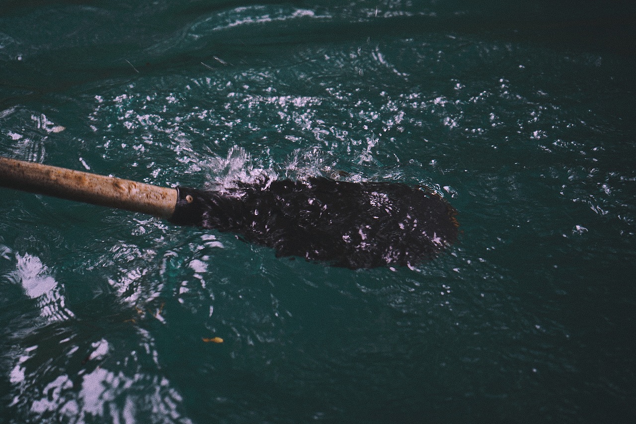 划船实在太好玩了,荔波的水太好看了,像是蓝宝石