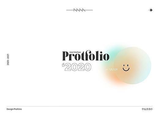 Protfolio 2020年度总结