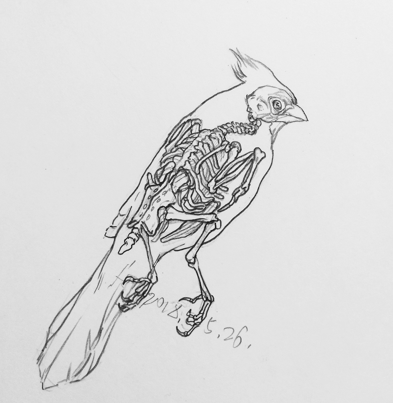 18 19 20 三年作品总结（图ZMjc5MjMxMzYw） - 创作习作 - 站酷设计师李安朔原创素材 - 站酷ZCOOL