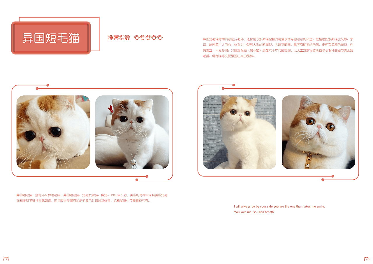 画册设计-猫谜上（图ZMTgxNTYwNDA4） - 书籍/画册 - 站酷设计师wangwei7102原创素材 - 站酷ZCOOL
