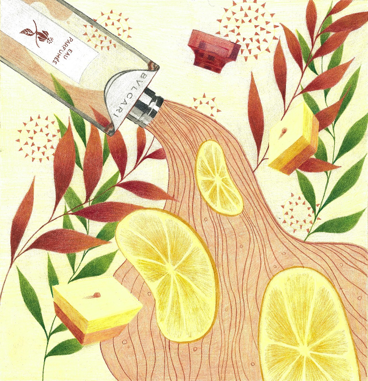 喜欢的香水插画