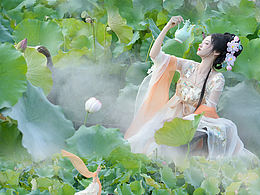 夏日荷花小荷才露尖尖角