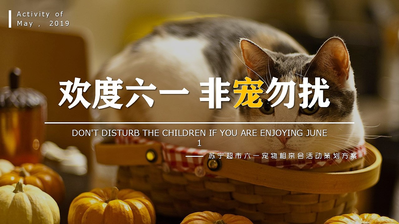 苏宁宠物相亲节（图ZMjg2OTQ5ODky） - 其他 - 站酷设计师策划米饭原创素材 - 站酷ZCOOL