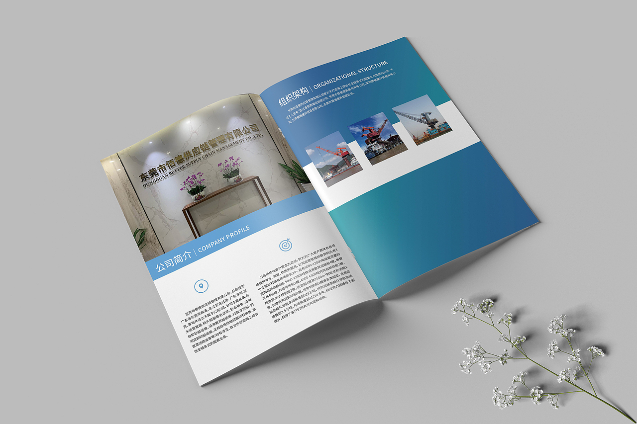 东莞市佰德供应链管理有限公司画册