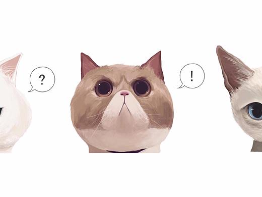 朋友家的猫