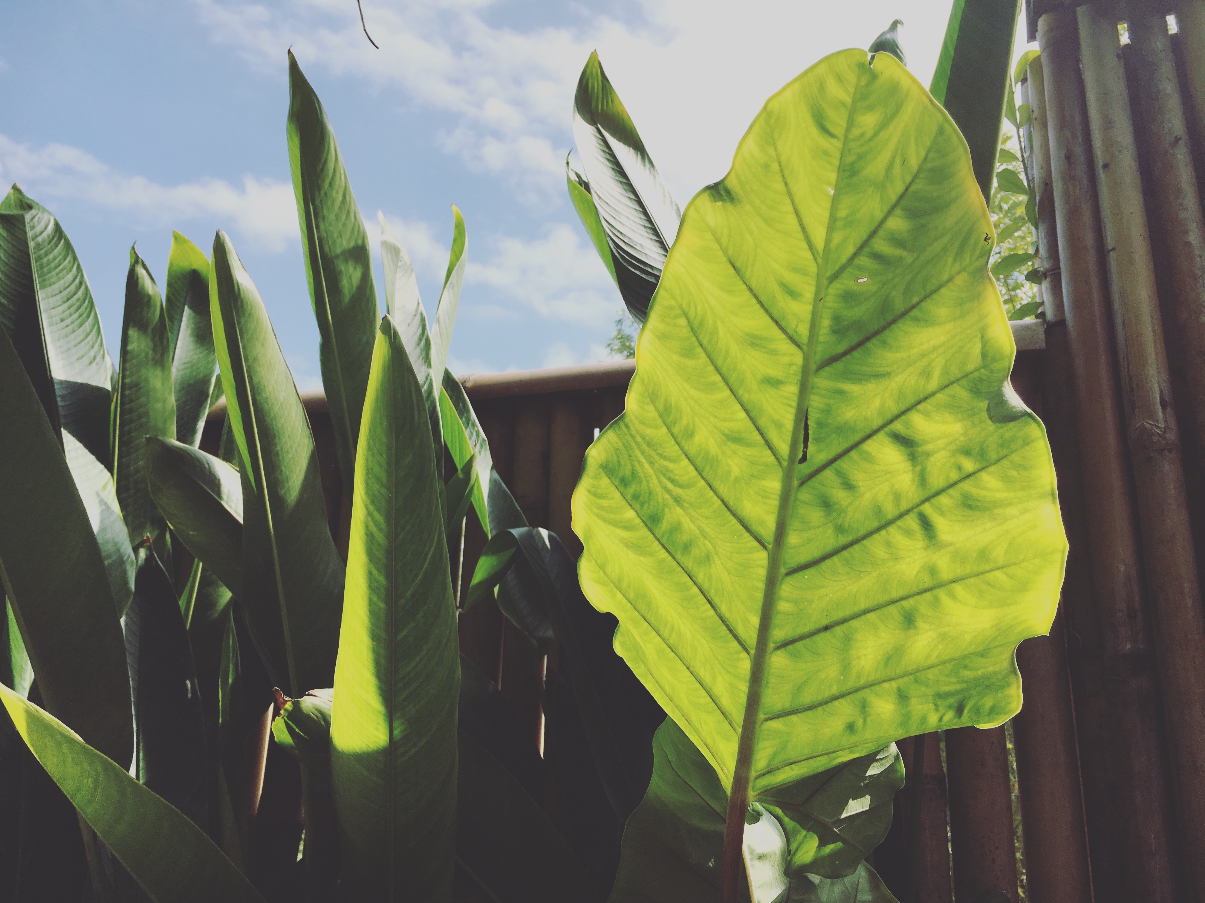 马睿睿的一只猪的个人主页（封面预览） - 主页封面设置 - 站酷设计师马睿睿的一只猪原创素材 - 站酷ZCOOL