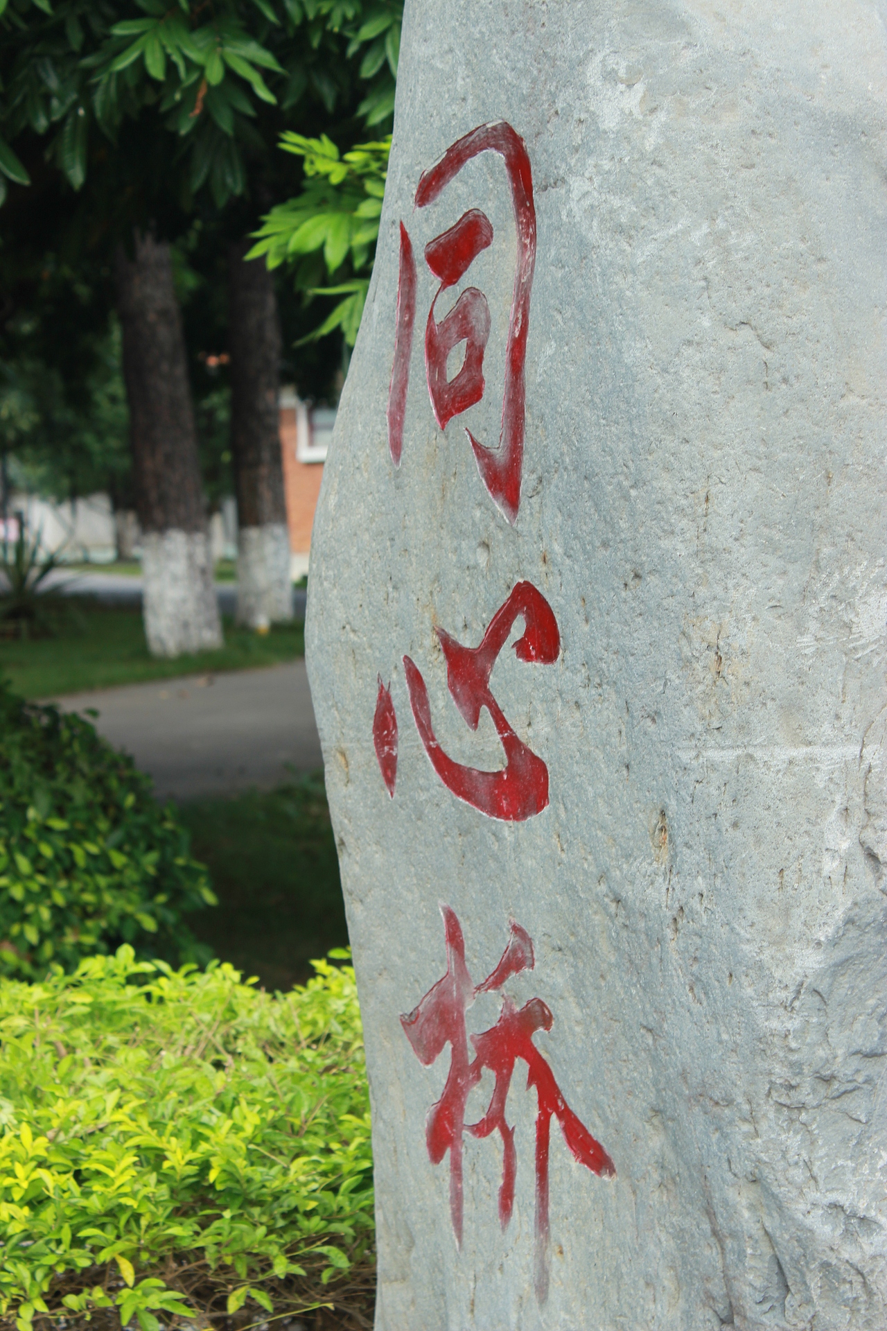 1800多天再回来，走马观花，很多事情如同照片一样略显模糊。（图ZMzQ2Mzc5MjA=） - 风光摄影 - 站酷设计师牵着蜗牛去跑步原创素材 - 站酷ZCOOL