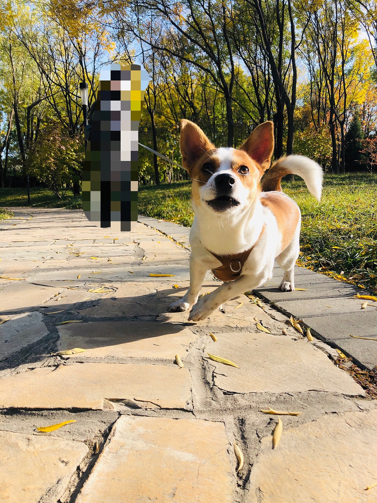 随手拍的照片变成海报No.2