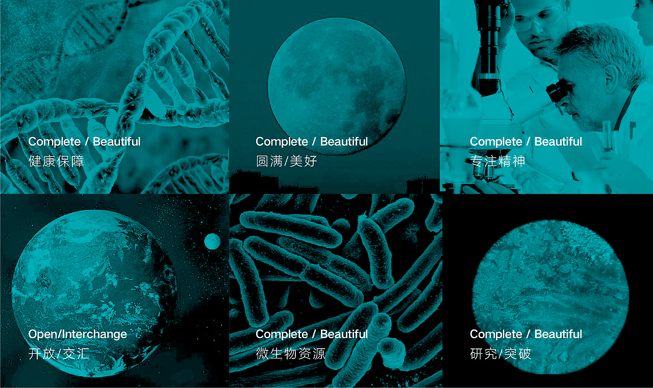 【醒狮】- 慕恩生物科技品牌形象方案