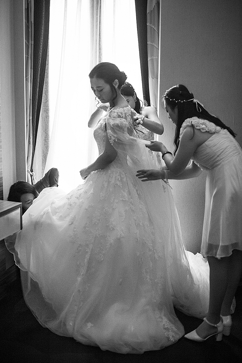 你若不离,我必相依