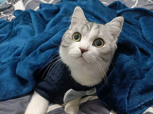 隐秘的宝藏（个人主页-ZNjIzOTAyMjA=） - 产品摄影 - 站酷设计师Z48611989原创素材 - 站酷ZCOOL