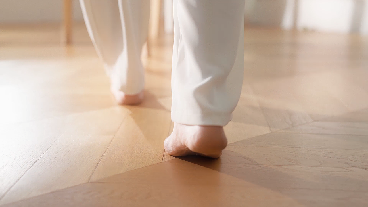 倍思 Lotis Y1 智能宠物饮水机