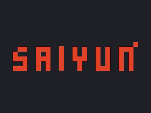 品牌案例-SAIYUN DATA