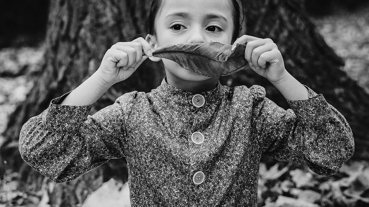 想要从你的眼睛里看到这座世界花园