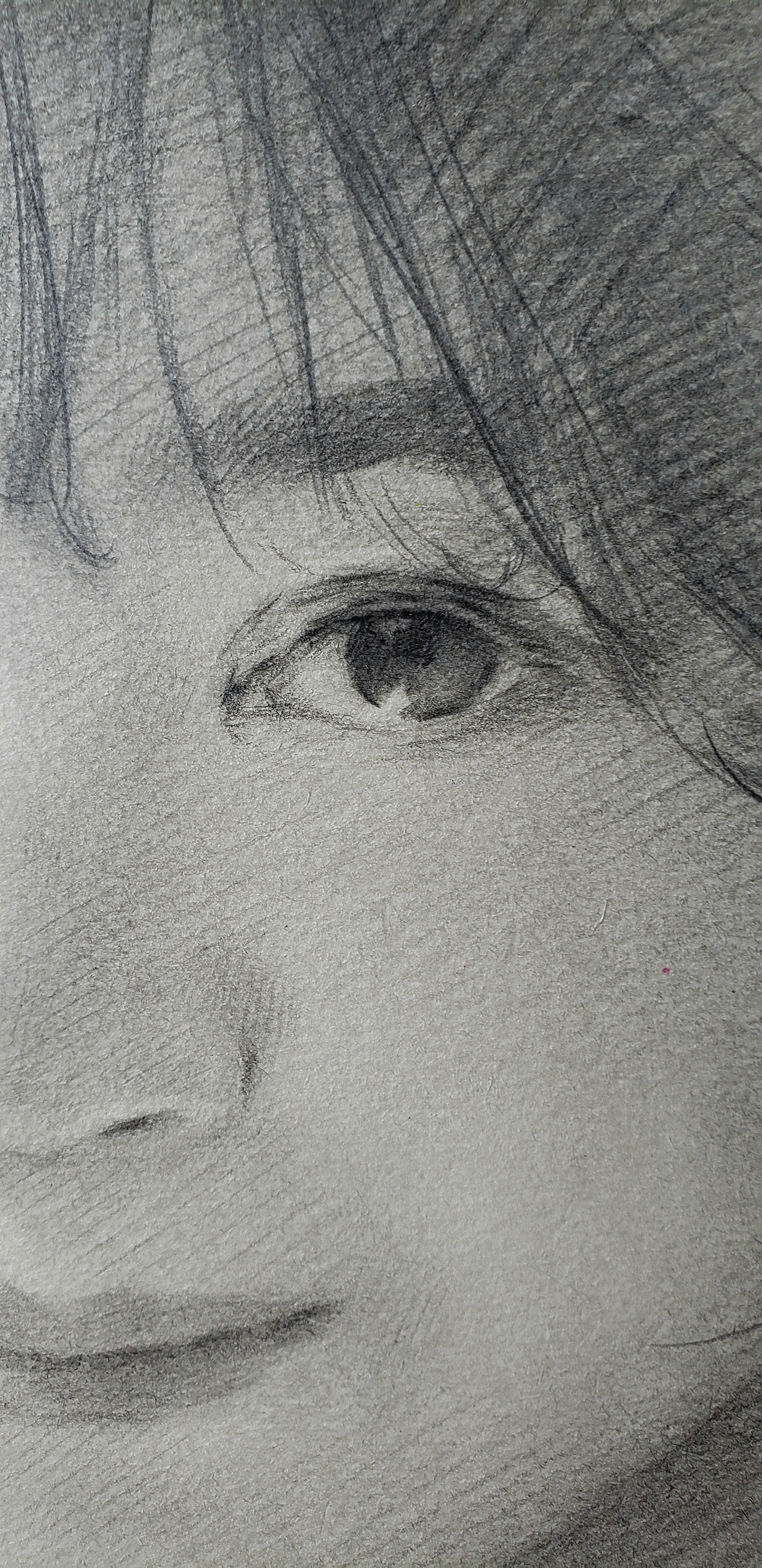 清新风女子素描