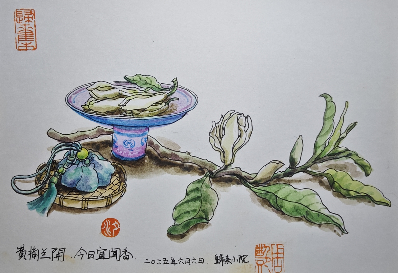 今日宜闻香（图ZMzkxNjM5NTQw） - 绘画 - 站酷设计师心如潮汐原创素材 - 站酷ZCOOL