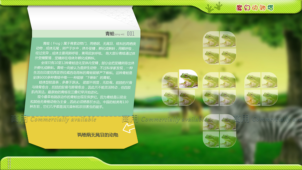 【大屏多媒體】有棲動物（圖ZMTA1NTMwMTAw） - 其他UI - 站酷設(shè)計師sissi730原創(chuàng)素材 - 站酷ZCOOL