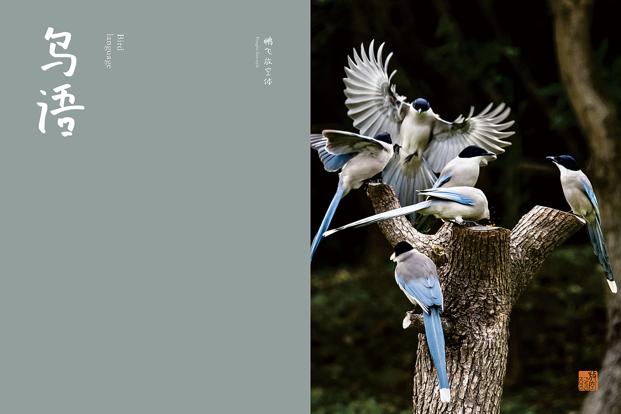 鹏飞放空体(十)