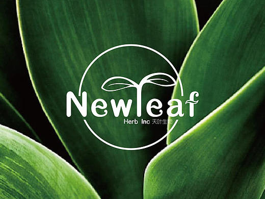 天叶生物 Newleaf  Herb Inc