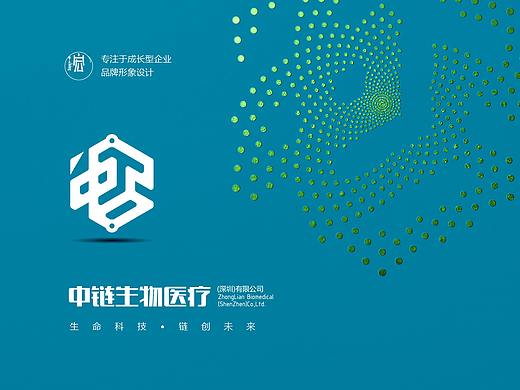 中链生物企业形象设计，六合之道的六维中生命的色彩