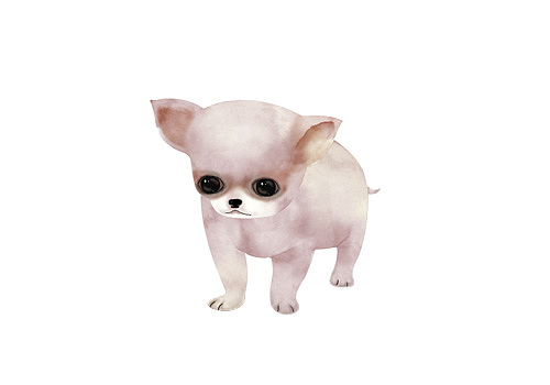 动物插画之小狗（图ZOTIzODQ1NTY=） - 商业插画 - 站酷设计师粉沫yu原创素材 - 站酷ZCOOL