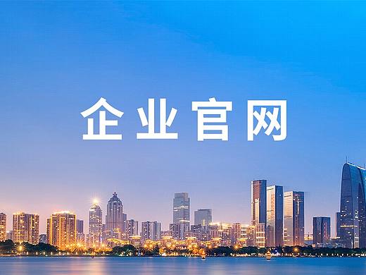 企业网站