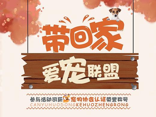 宠物公益