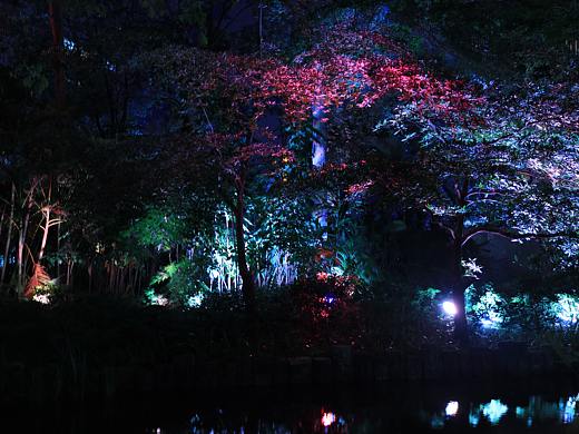 花城之夜