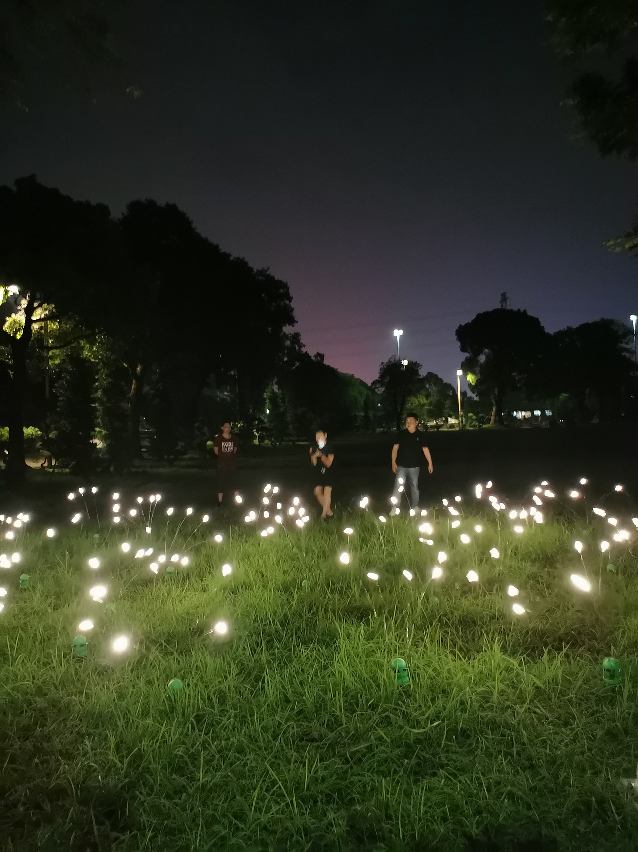 户外发光萤火虫灯公园草坪亮化景观灯生产工厂铭星