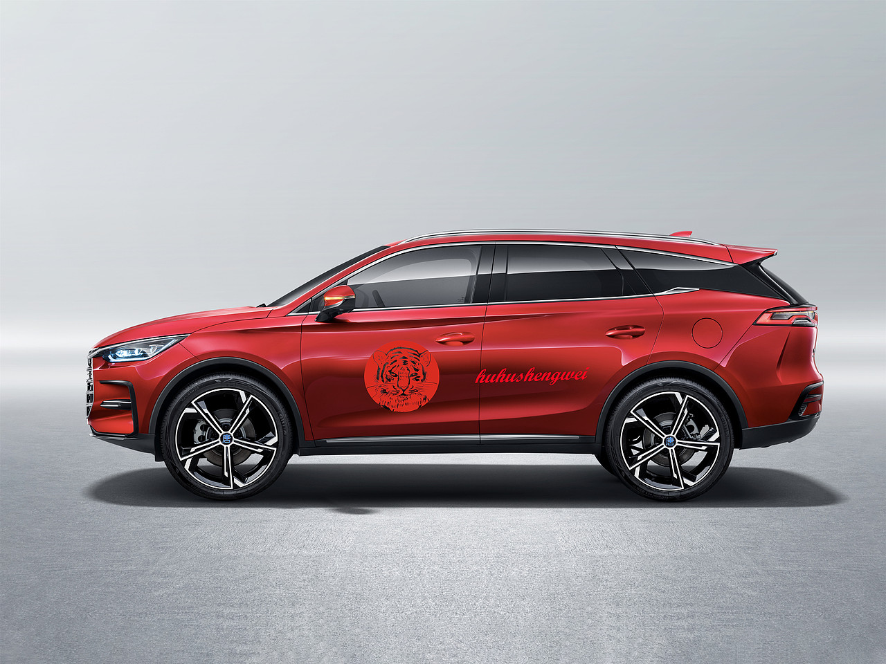 虎虎生威 #王者之势 龙腾虎跃#