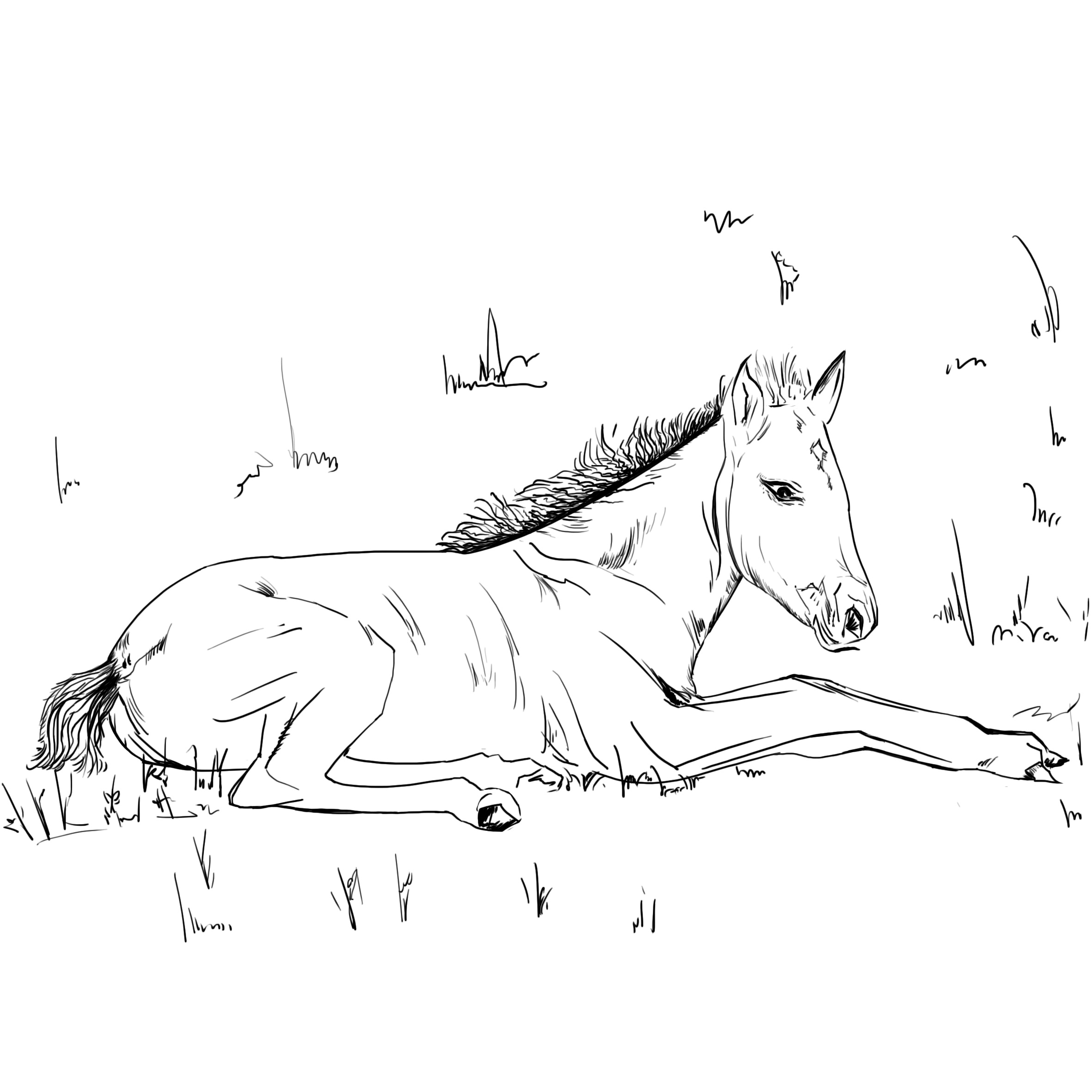 手绘小马从出生到奔腾中华民族大赛马山东临沂10月22