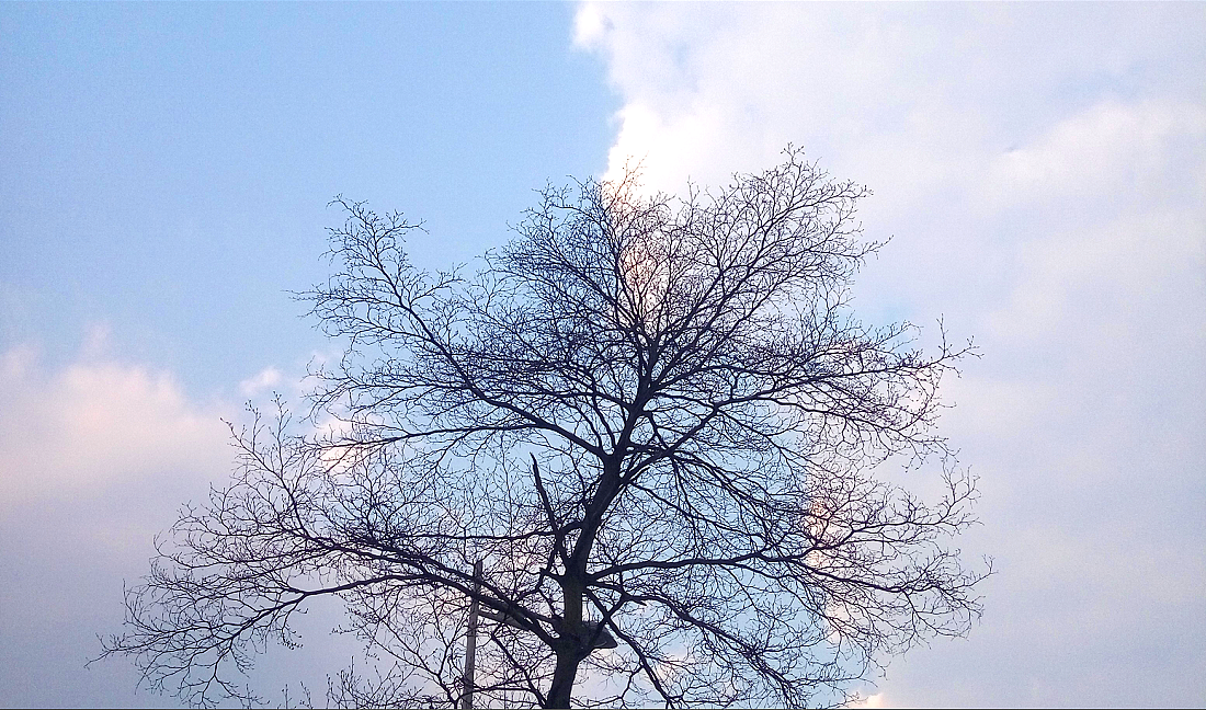 一些手机里的随手拍（图ZMTE3NDU5NzI0） - 风光摄影 - 站酷设计师秋酱Autumn原创素材 - 站酷ZCOOL