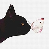 特立独行的猫i的头像