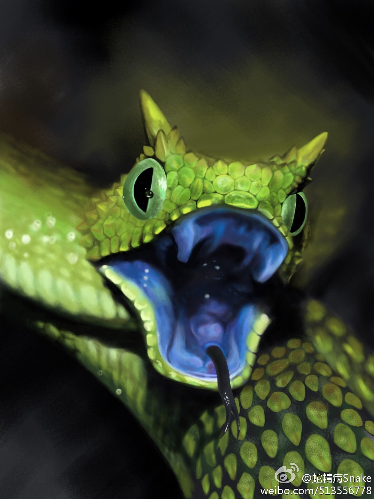 角树蝰——ipadmini画的brushes(软件名)指绘_snakejia-站酷zcool