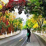 M_shanshan的头像
