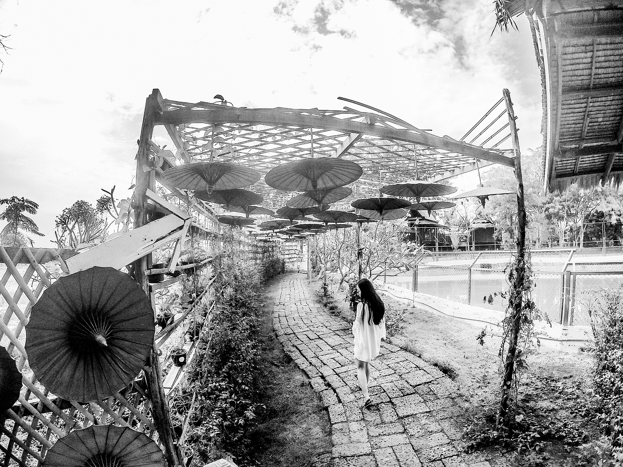 北方的姑娘 请不要再留恋南方的迷惘（图ZNTM4OTE0MDg=） - 风光摄影 - 站酷设计师Design Sun原创素材 - 站酷ZCOOL