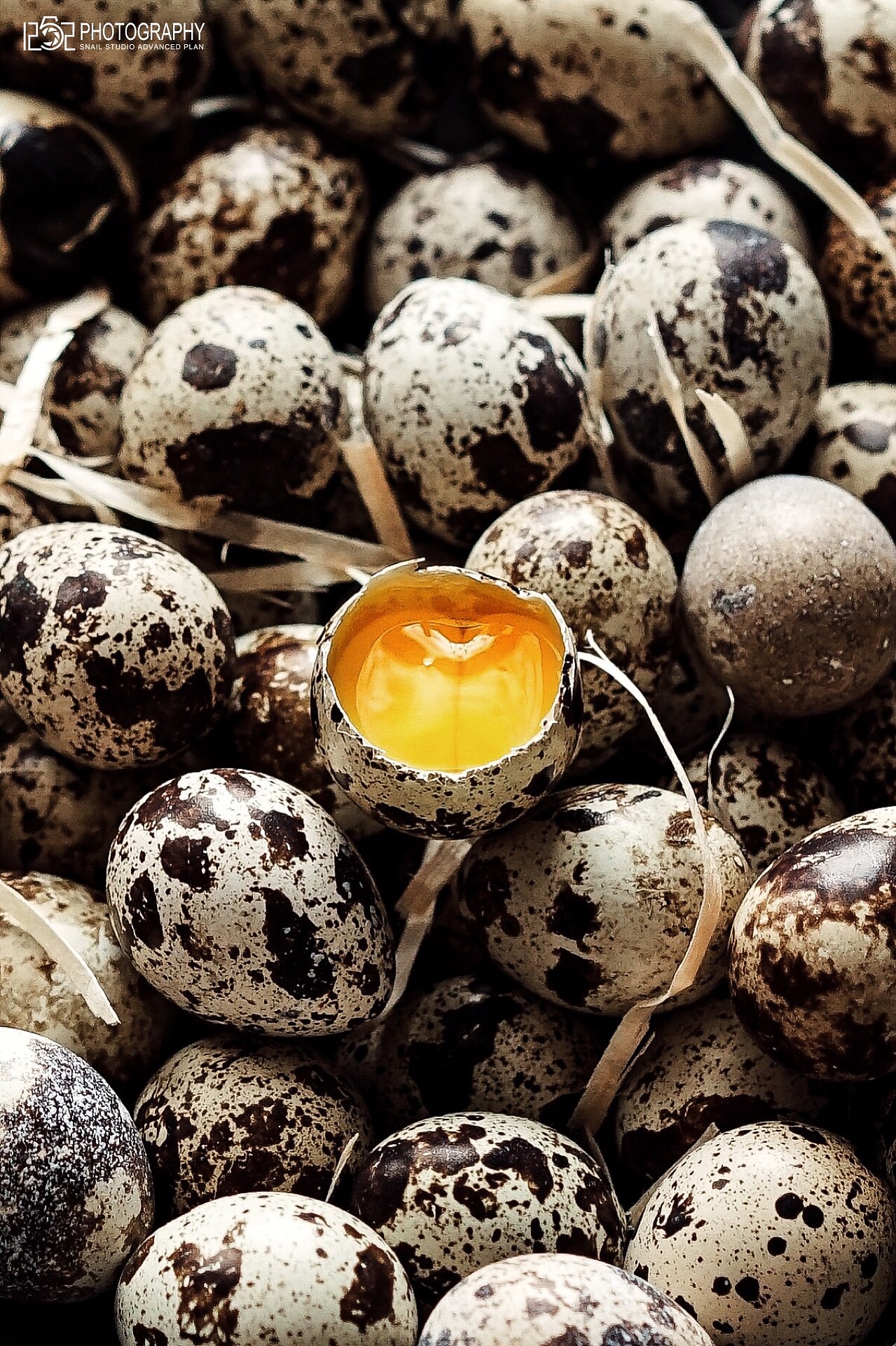#1252第三十七轮约拍##蛋#（图ZMTQ1OTQ0MTk2） - 产品摄影 - 站酷设计师1252photo原创素材 - 站酷ZCOOL