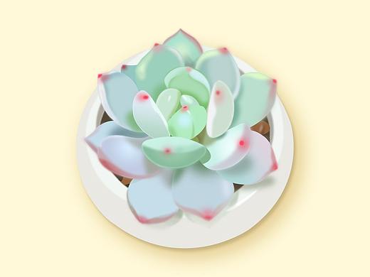 拟物图标  多肉植物