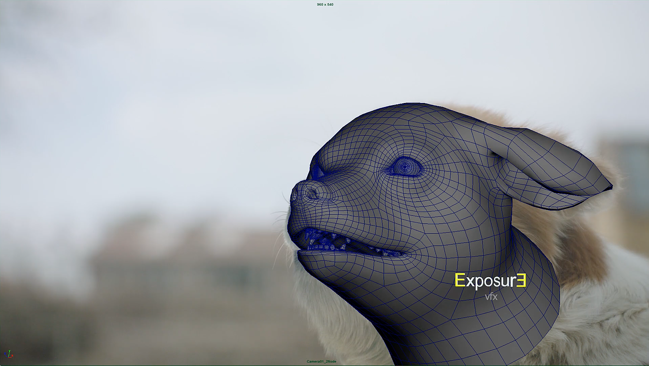 动物还会歌唱?可口可乐广告精彩片段