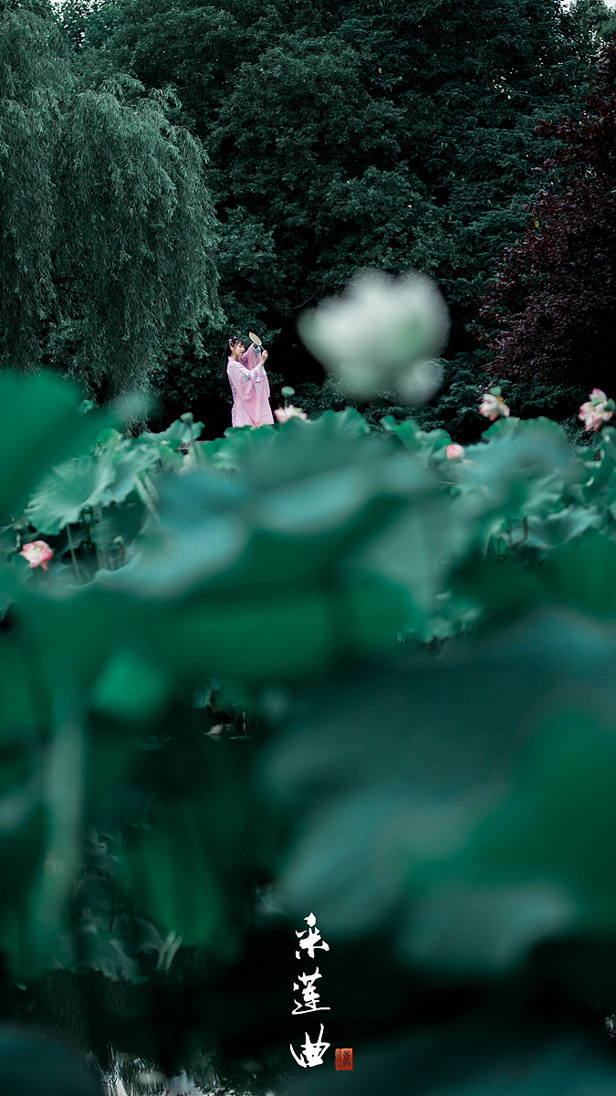 采莲曲（图ZOTE2Njg3OTY=） - 人像摄影 - 站酷设计师PolarMaple原创素材 - 站酷ZCOOL