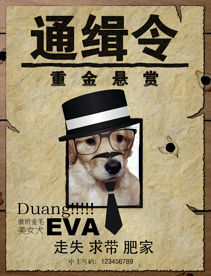 全城通缉傲娇汪（图ZMjY5NjM1MTY=） - 海报 - 站酷设计师咕咕噜鱼原创素材 - 站酷ZCOOL