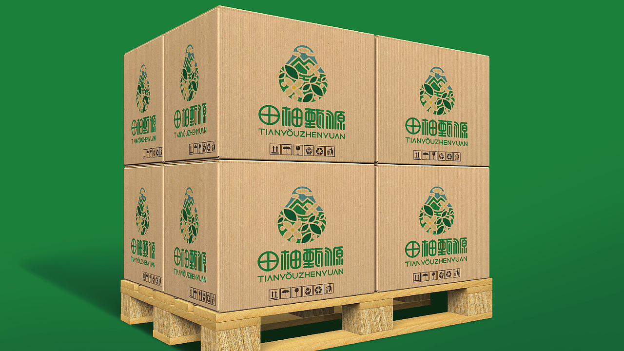 田柚甄源logo设计提案-飞机稿（图ZMTc1MTY1OTIw） - Logo - 站酷设计师黑璞设计原创素材 - 站酷ZCOOL