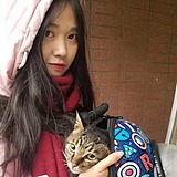 小愚儿Gsihan的头像
