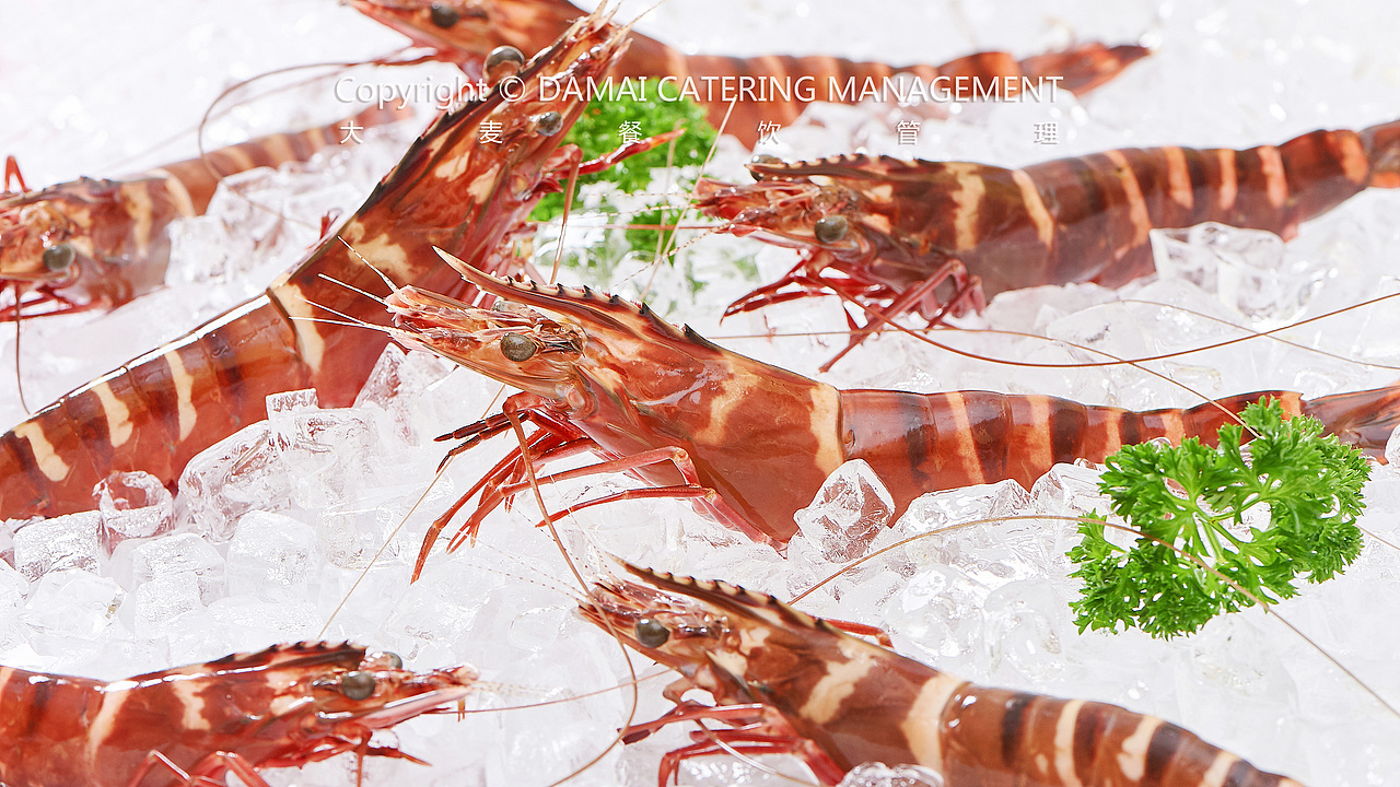 潮旺渔港（图ZMTY2OTM2MDg0） - 产品摄影 - 站酷设计师PHOTOMAN摄影侠原创素材 - 站酷ZCOOL