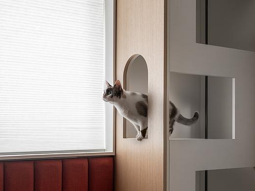 三妈猫之家