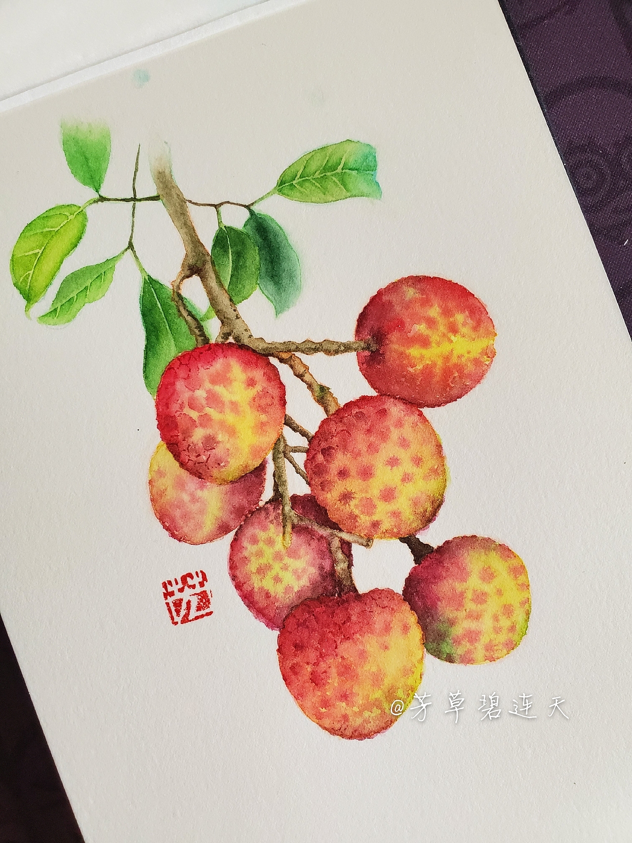 原創(chuàng)水彩水果荔枝步驟圖 芳草碧連天（圖ZMTk3OTYzODg4） - 繪畫 - 站酷設計師芳草碧連天水彩原創(chuàng)素材 - 站酷ZCOOL