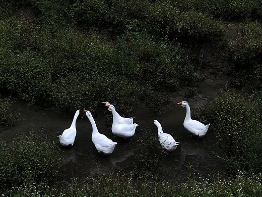 大山里的小温暖-坐标 安庆 五猴山