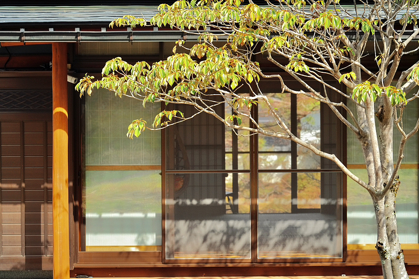 飛騨高山|「庭園就是一幅畫」春