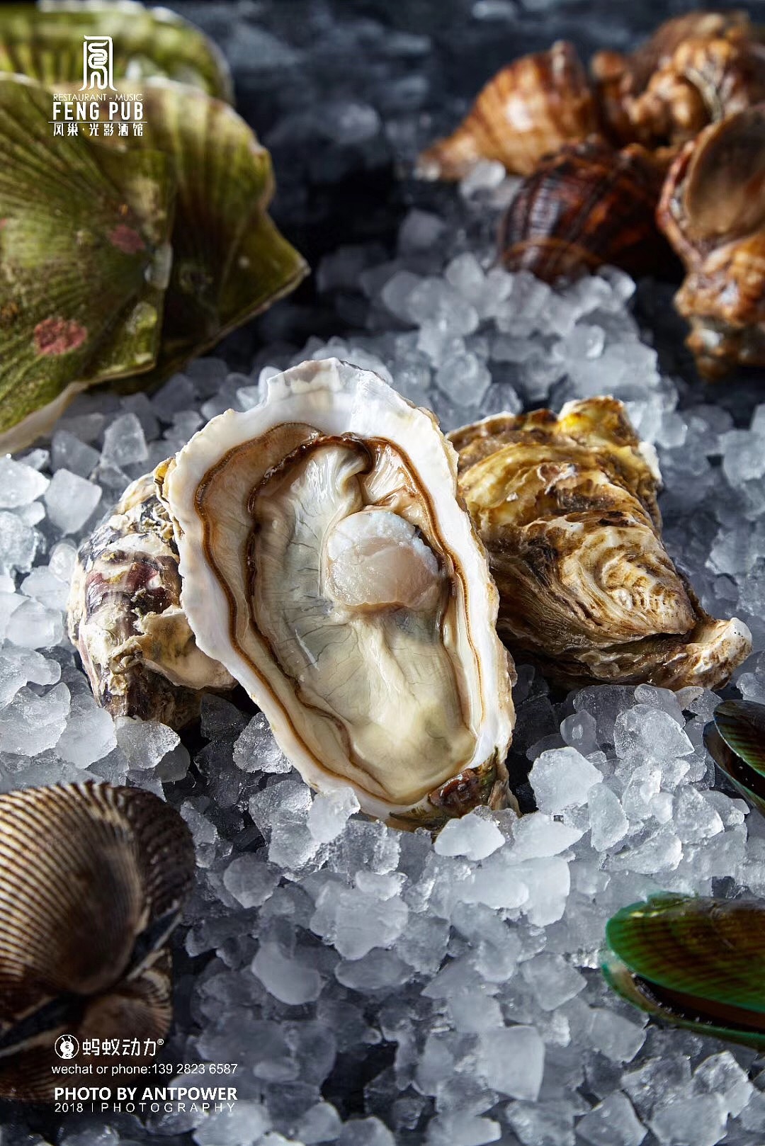 西餐美食拍摄（图ZMTgzNjI4MjQw） - 产品摄影 - 站酷设计师好大的渔原创素材 - 站酷ZCOOL